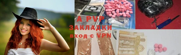 твердый Аркадак