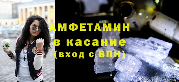 твердый Аркадак