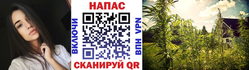 Купить закладки  Таганрог  Шишки марихуана Amnesia 